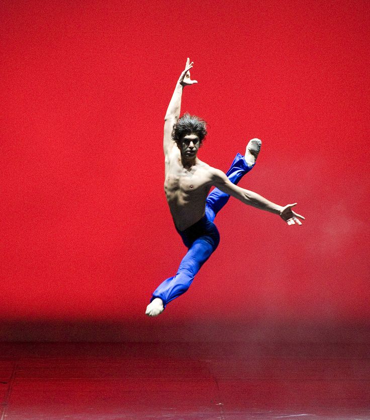 Ниолай Цискаридзе быстро стал солистом Большого театра. Ниолай Цискаридзе быстро стал солистом Большого театра.