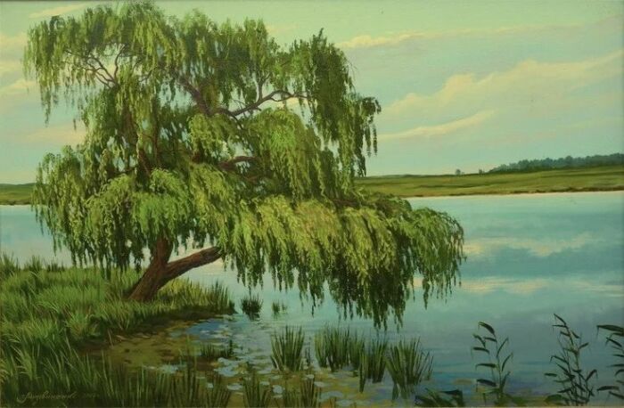 Есть версия, что  фамилия  Ивановы произошла от названия дерева  ива.