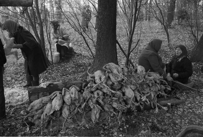 Жертвоприношение марийцев.