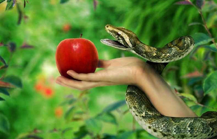 Как искажают Библию: 10 знаменитых мифов, в которые нас заставляют верить