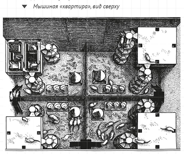 Учёный решил создать рай для мышей.