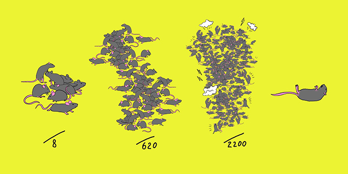 Эксперимент закончился катастрофой - мышиная цивилизация увенчалась апокалипсисом.