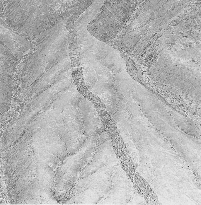 Ямы расположены ровными рядами. Ямы расположены ровными рядами.