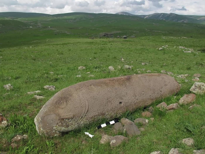 Драконий камень в форме рыбы с характерной резьбой.