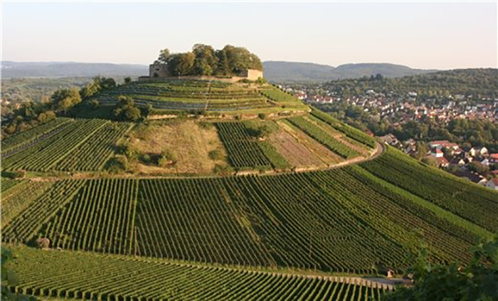 Руины замка Вайнсберг. / Фото: vbaden.blogspot.com