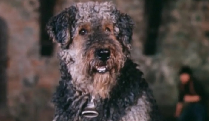 Рэсси - ожившая игрушка