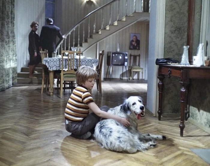 Со своей ролью Стив справился замечательно