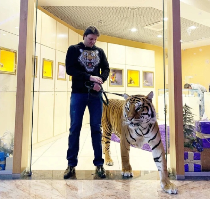 Эдгард Запашный с тигром