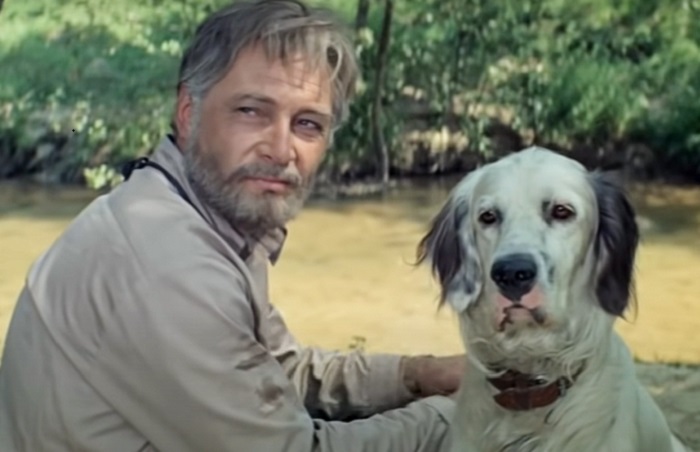 Как пёс из кино «Белый Бим Черное Ухо» повторил судьбу киногероя: Дружба с Тихоновым и грустный финал