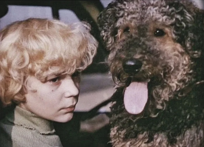 Чингиз оказался очень умным и храбрым псом