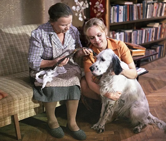 Стива невозможно было не любить