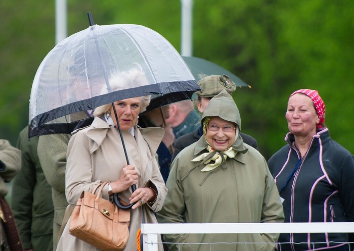 Королева Елизавета II все же признала Камиллу, в конце жизни она ей очень доверяла
