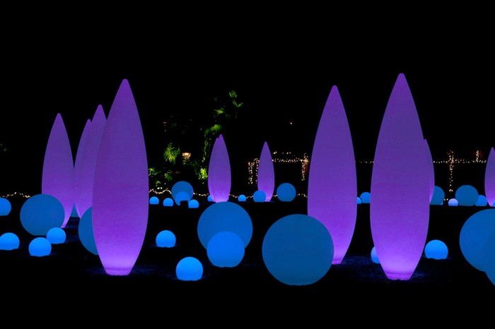 Инсталляция Lights, Holiday Nights в Ботаническом саде Атланты