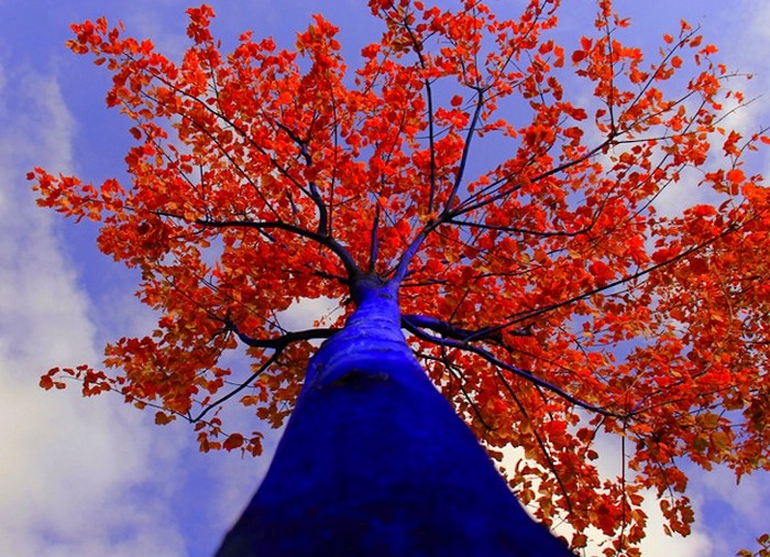 Инсталляция Blue Trees от Константина Димопулоса (Konstantin Dimopoulos)