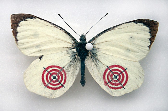 Mimesis – бабочки на принтере от Сары Гарцони (Sarah Garzoni)