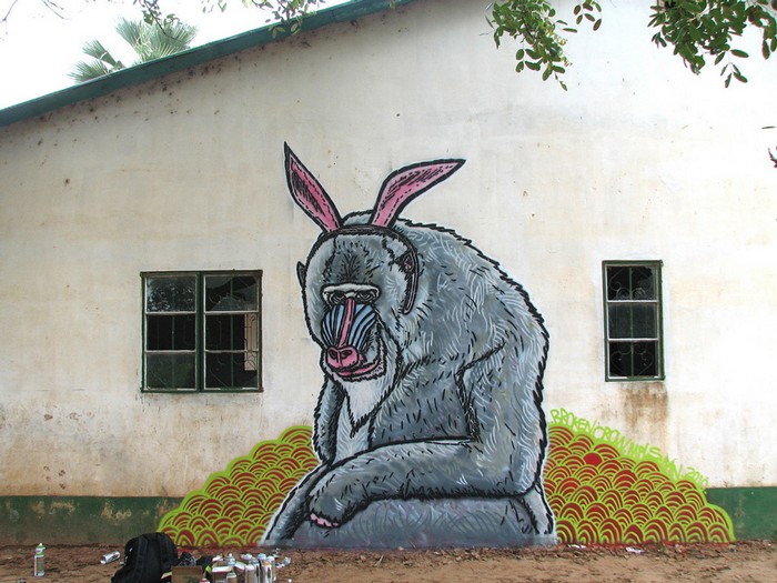 Проект Wide Open Walls – граффити на улицах деревни в Гамбии