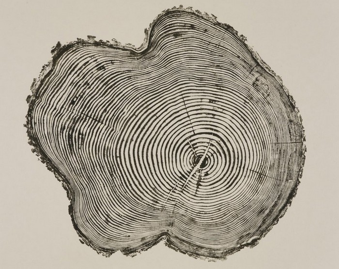Woodcut Prints – древесные отпечатки пальцев от Брайана Нэша Гилла (Bryan Nash Gill)