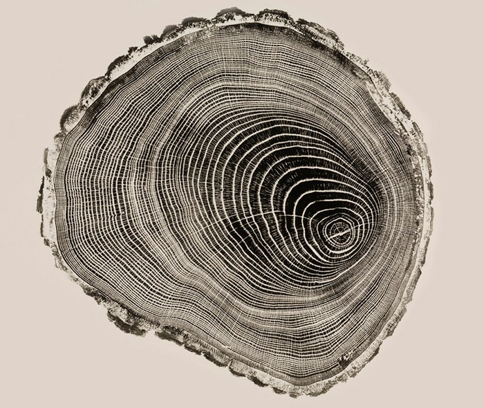 Woodcut Prints – древесные отпечатки пальцев от Брайана Нэша Гилла (Bryan Nash Gill)
