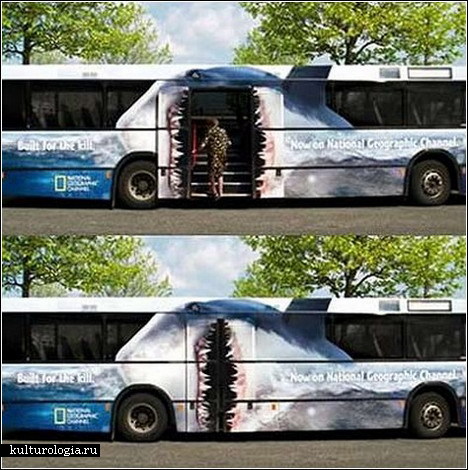 Такие креативные автобусы