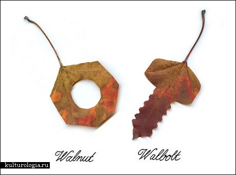 Дизайнерские листья от Christoph Niemann