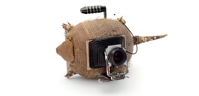 Camera Collection – фотокамеры в стиле Флинстоунов