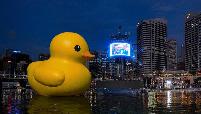 Giant Rubber Duck – подарок  жителям Сиднея от художника-гигантомана Флорентина Хофмана (Florentijn Hofman)