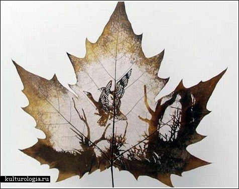 Невероятные картины на платановых листьях