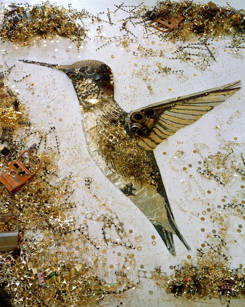 Hummingbird. Серия Scrap Metal от Вика Муниса (Vik Muniz)