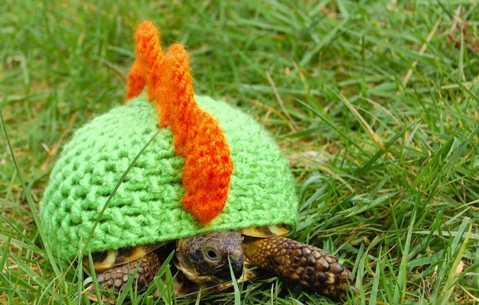 Черепаха своими руками для сада (49 фото)