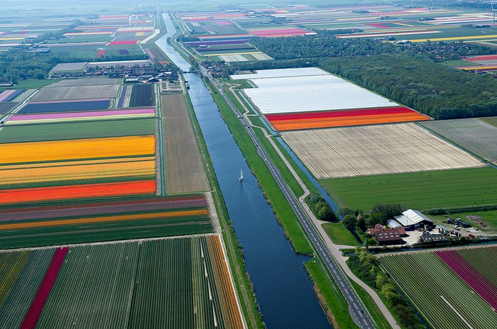 Бесконечные поля тюльпанов. Воздушные снимки от Bruxelles5