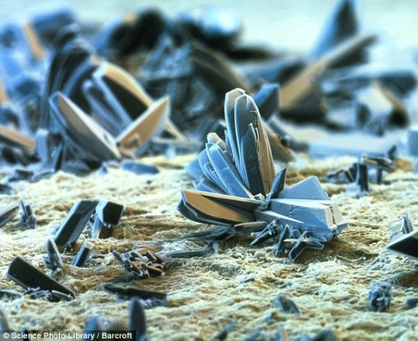 Сигаретная бумага. Голубые кристаллы – специальные добавки, призванные поддерживать горение сигареты, посредством выделения кислорода.