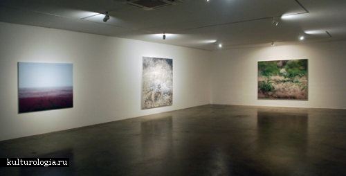 Абстракции из кактусов и пейзажи корейца Kwang-ho Lee