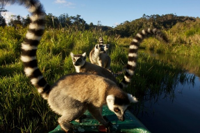  Мадагаскар.
