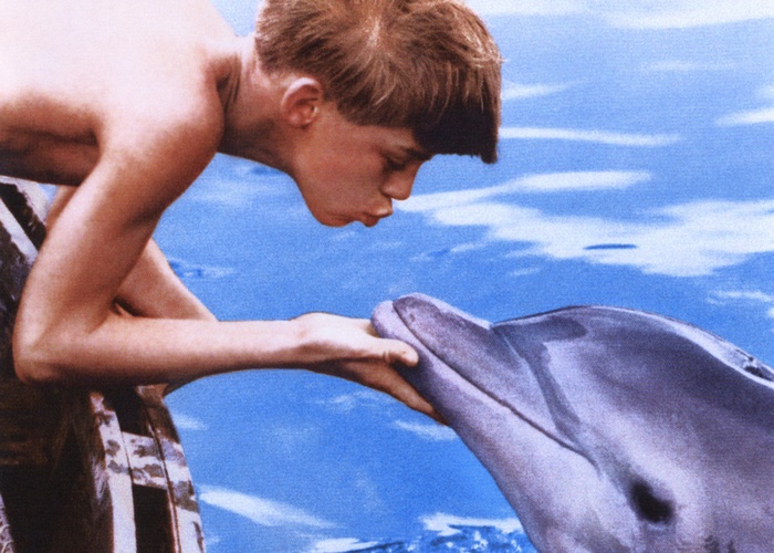 Секс с дельфинами хентай