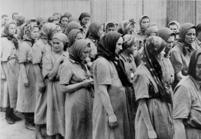 Беременные женщины в лагере Освенцим.