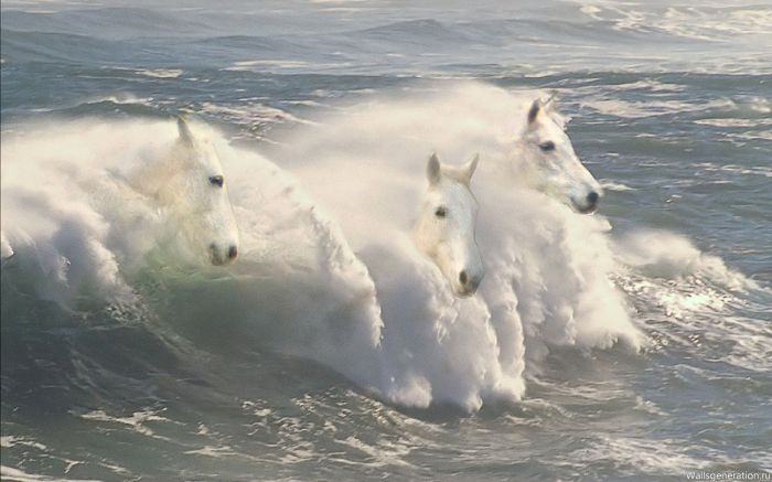  «Лошади в океане»