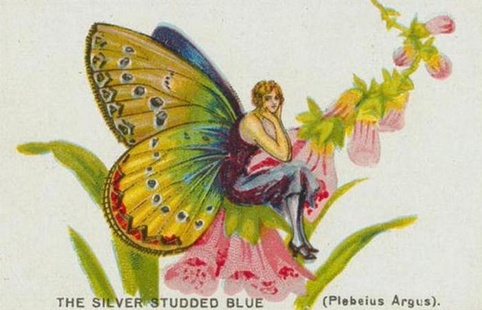 Сигаретные карточки с девушками-бабочками.