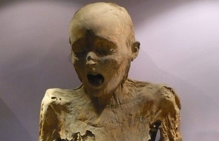 Мумия из музея Гуанахуато./фото: thevintagenews.com