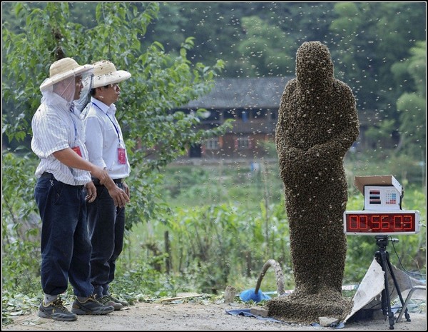 Пчела и человек. Необычный чемпионат в Китае