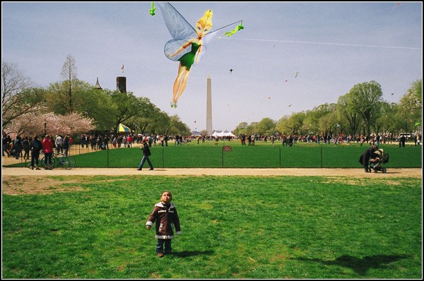 Змеиный полет. Фестиваль воздушных змеев в Вашингтоне