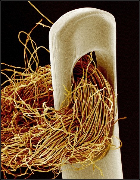 Картинки из микроскопа: иголка и нитка