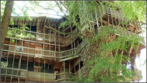 Самый большой домик на дереве в мире