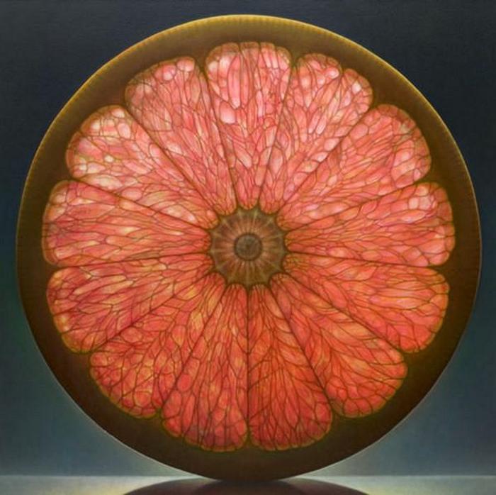 Грейпфрутовый цветок: масляная живопись Денниса Войткевича