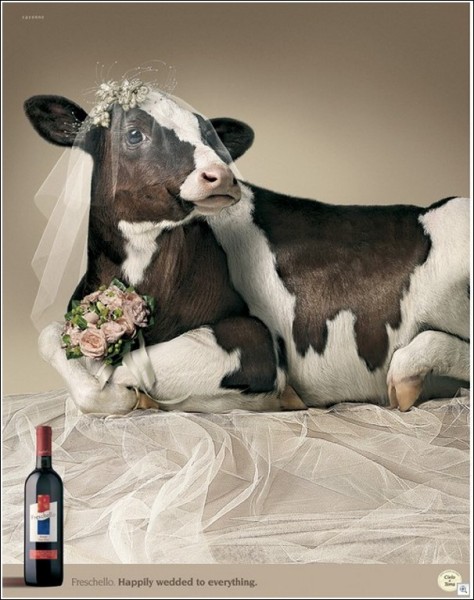Вино и потенциальное мясо на креативных постерах сочетаются... браком