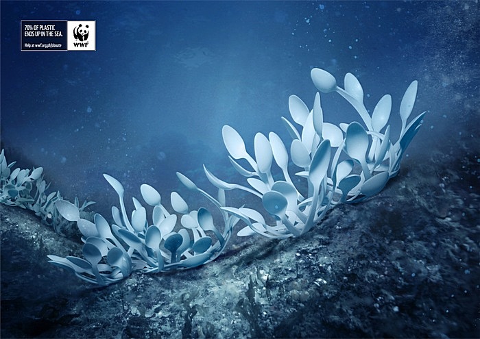 Морской веер: подводная зеленая реклама