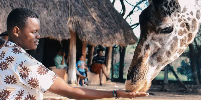 Сафари в Африке: как природа превращается в культуру Сафари в Африке: как природа превращается в культуру