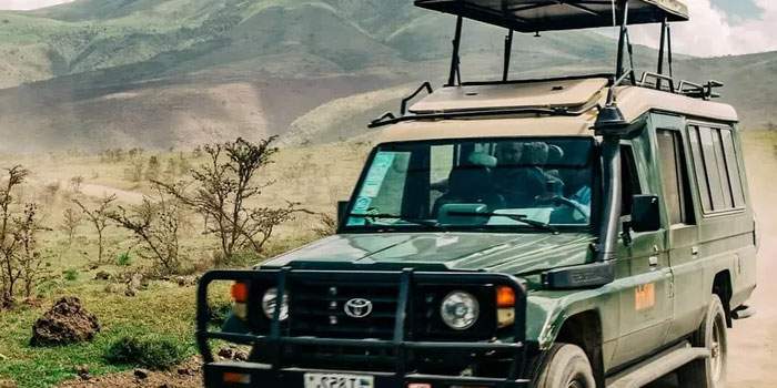 Сафари в Африке: как природа превращается в культуру Сафари в Африке: как природа превращается в культуру