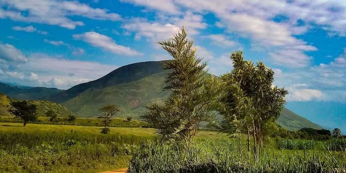 Сафари в Африке: как природа превращается в культуру Сафари в Африке: как природа превращается в культуру