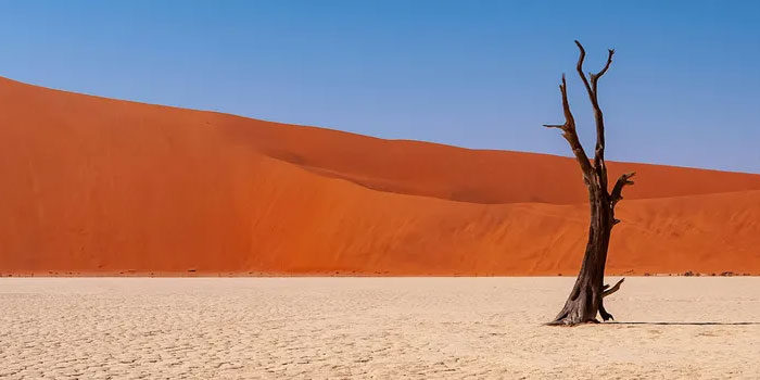 Сафари в Африке: как природа превращается в культуру Сафари в Африке: как природа превращается в культуру