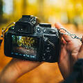 Как выбрать фотоаппарат для занятий начинающему фотографу-любителю
